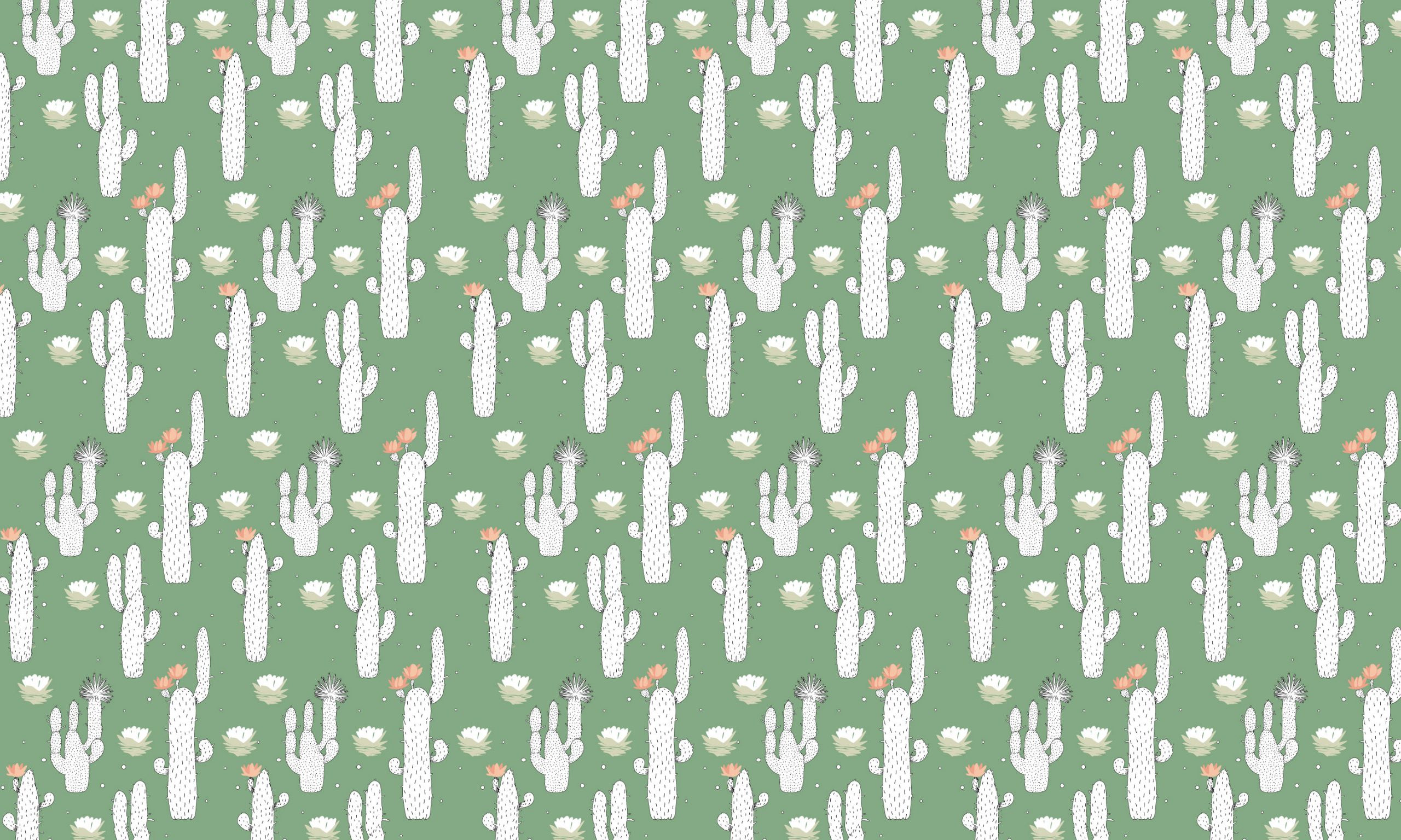 Cactus – Image 4