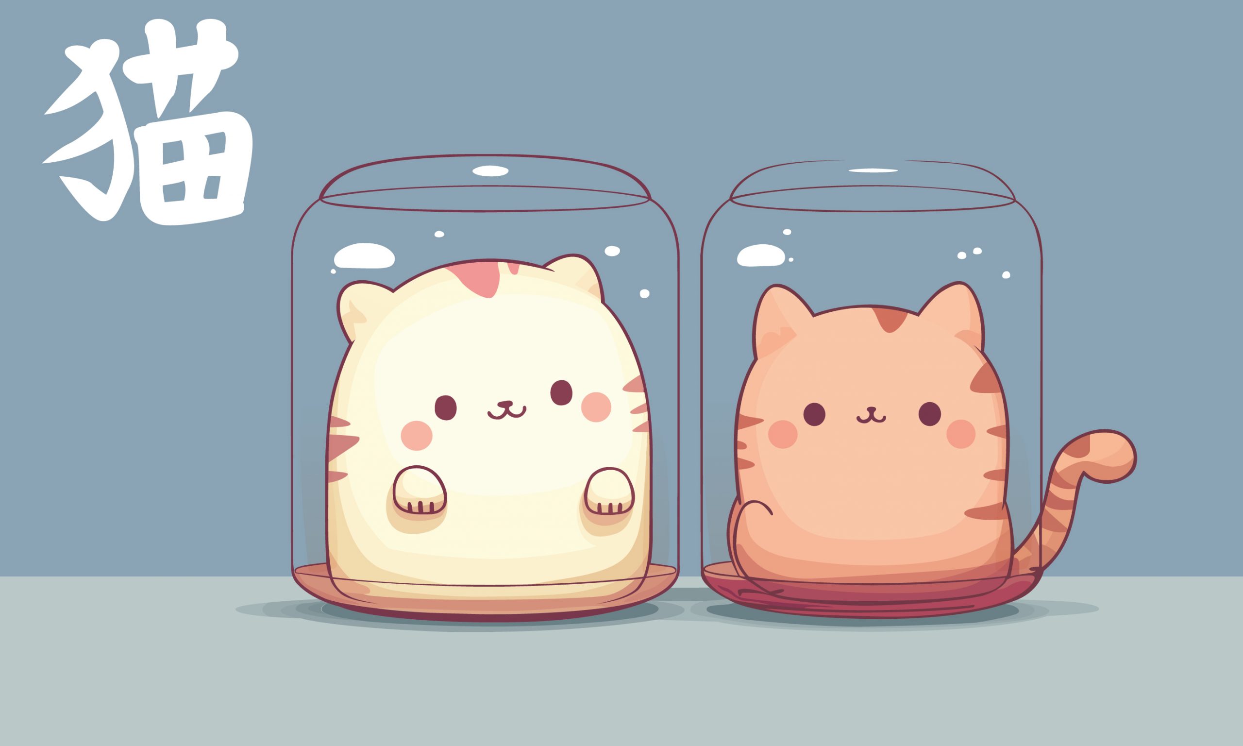 Chats en boîte – Image 7