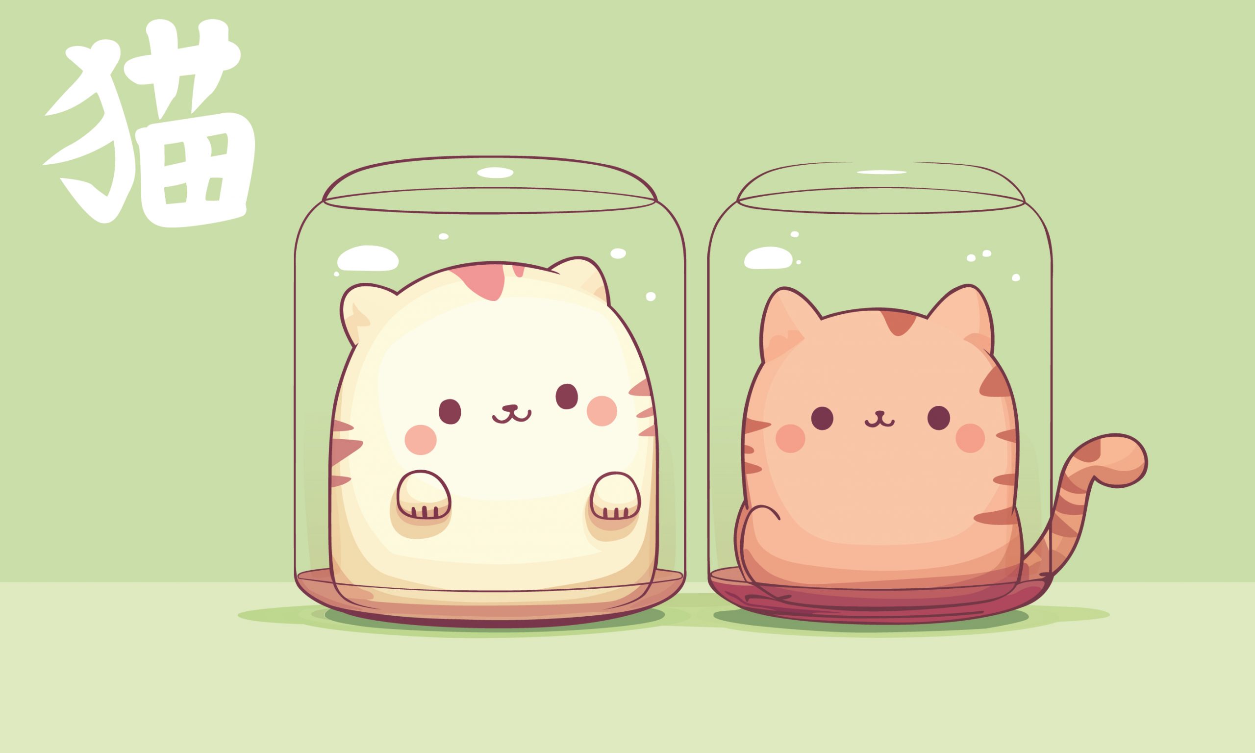 Chats en boîte – Image 4