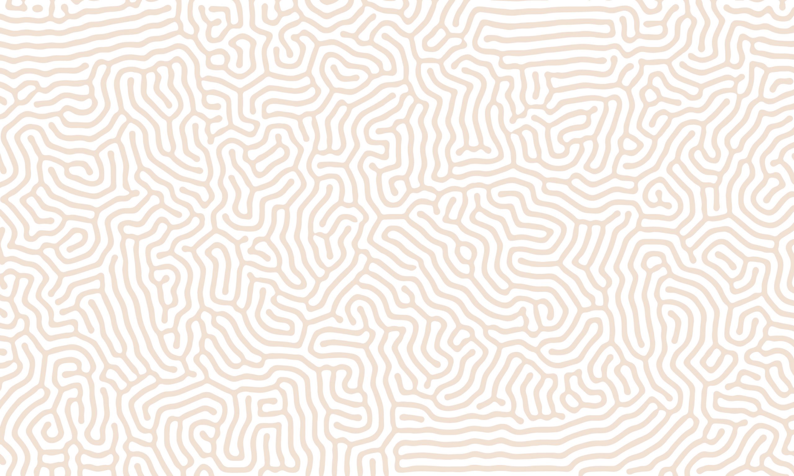 Chemins – Image 16