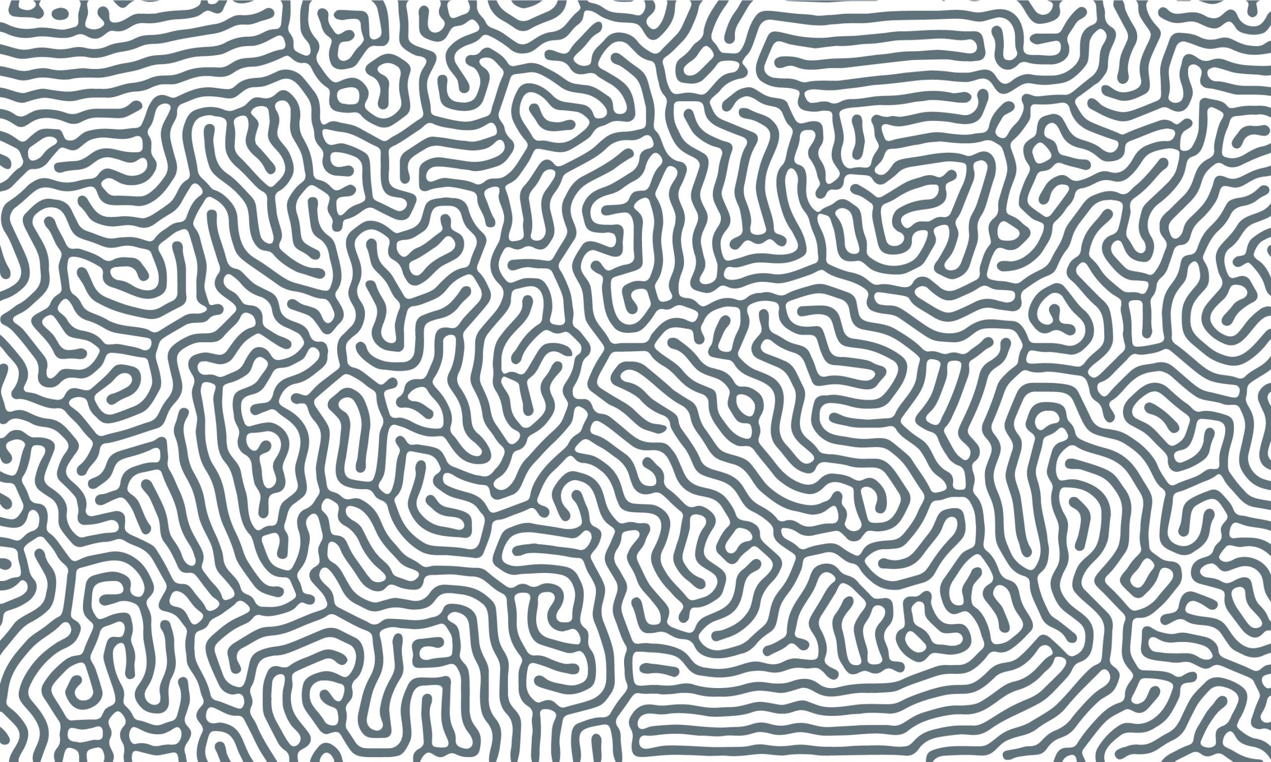 Chemins – Image 13