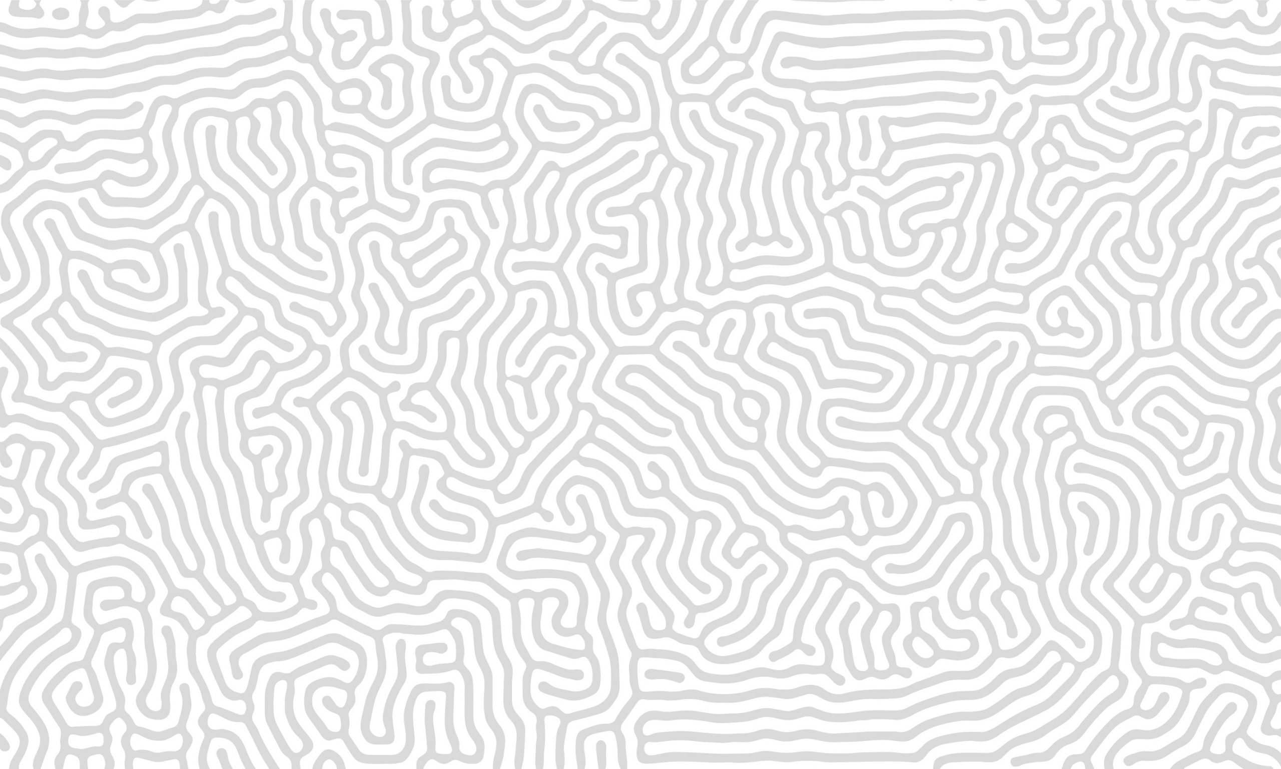 Chemins – Image 10