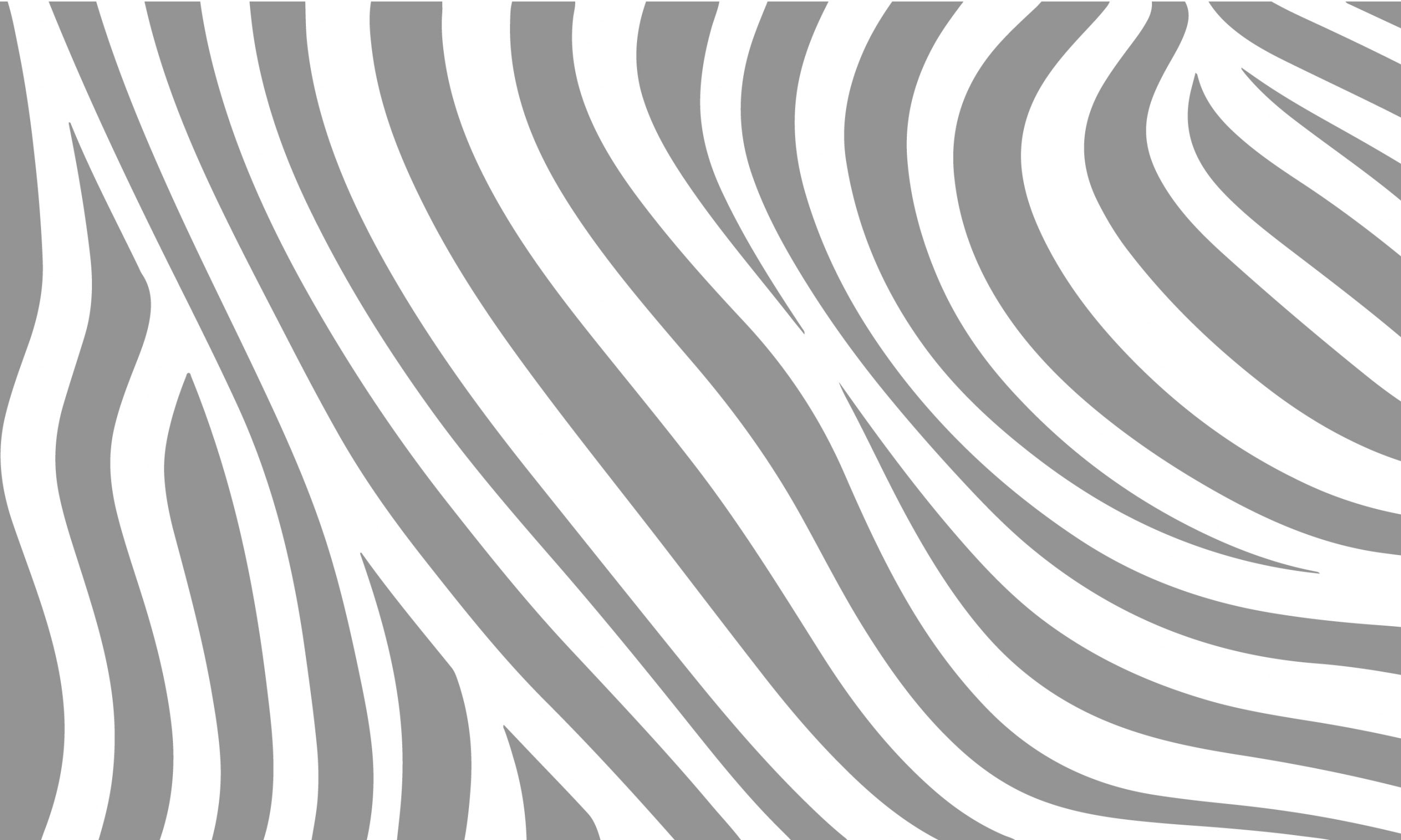 Zébrures – Image 3