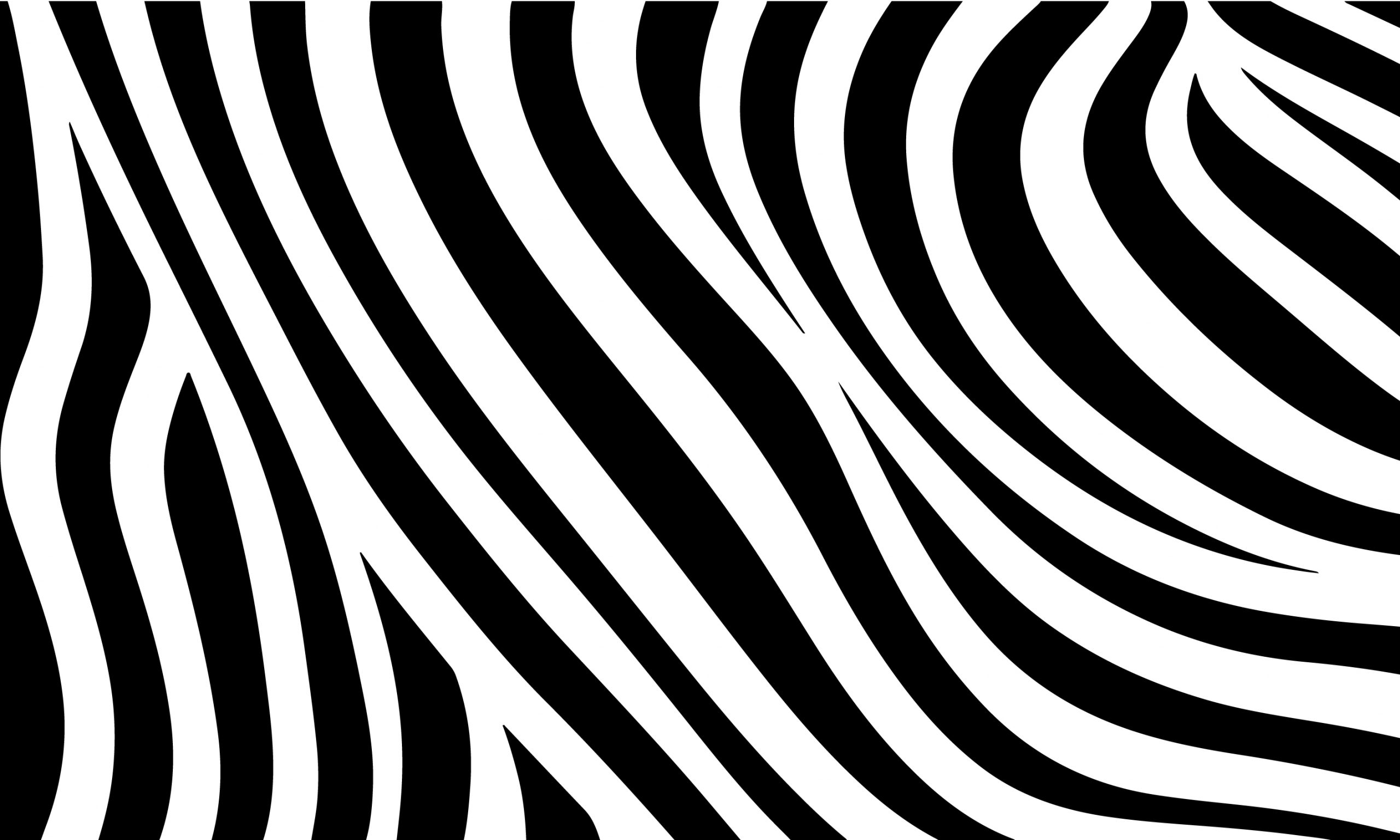 Zébrures – Image 5